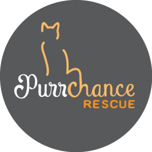 Purrchance Rescue Logo